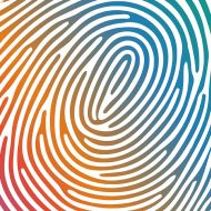 WP Hashes (BETA)